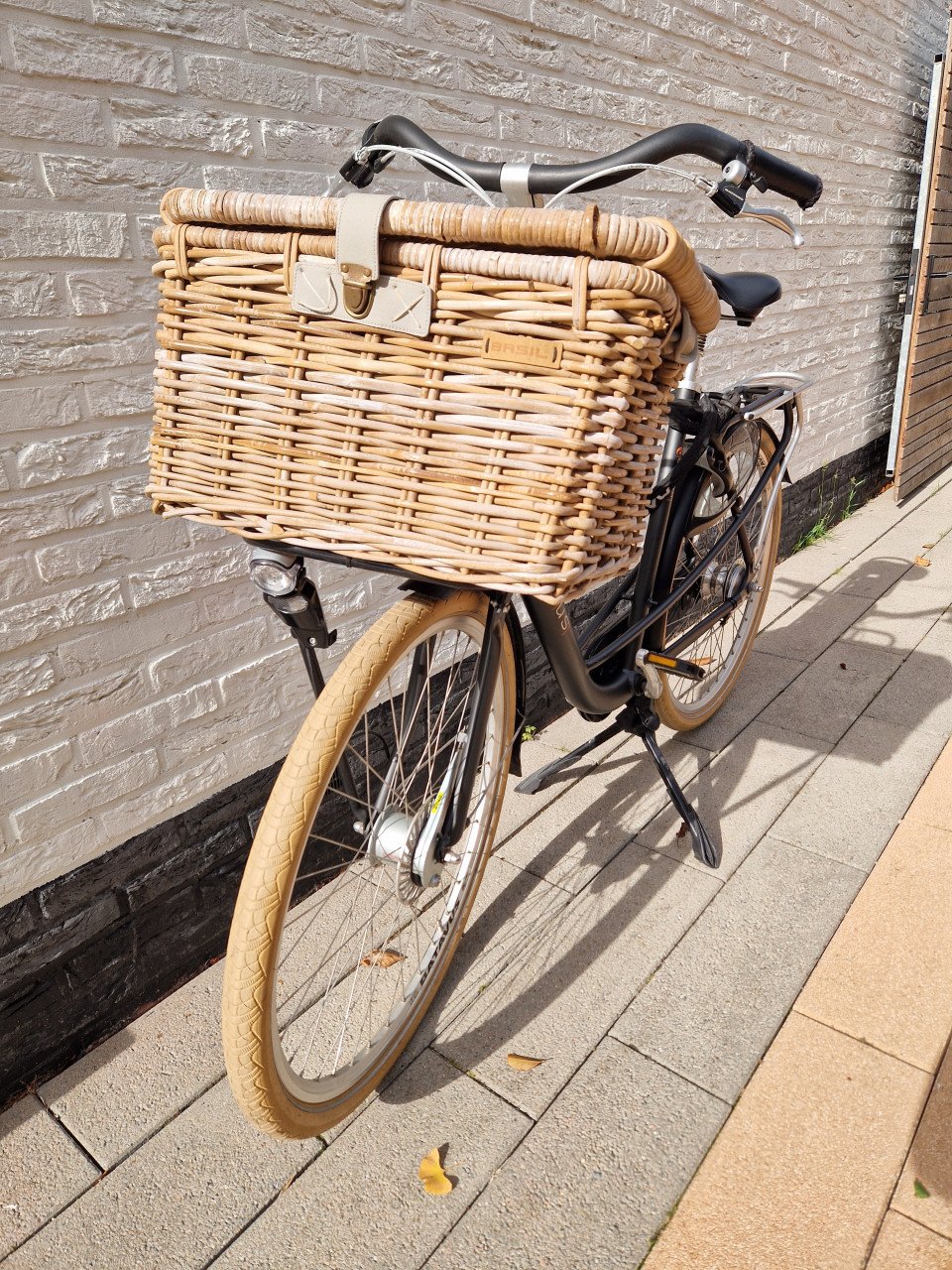 Batavus Mambo Deluxe