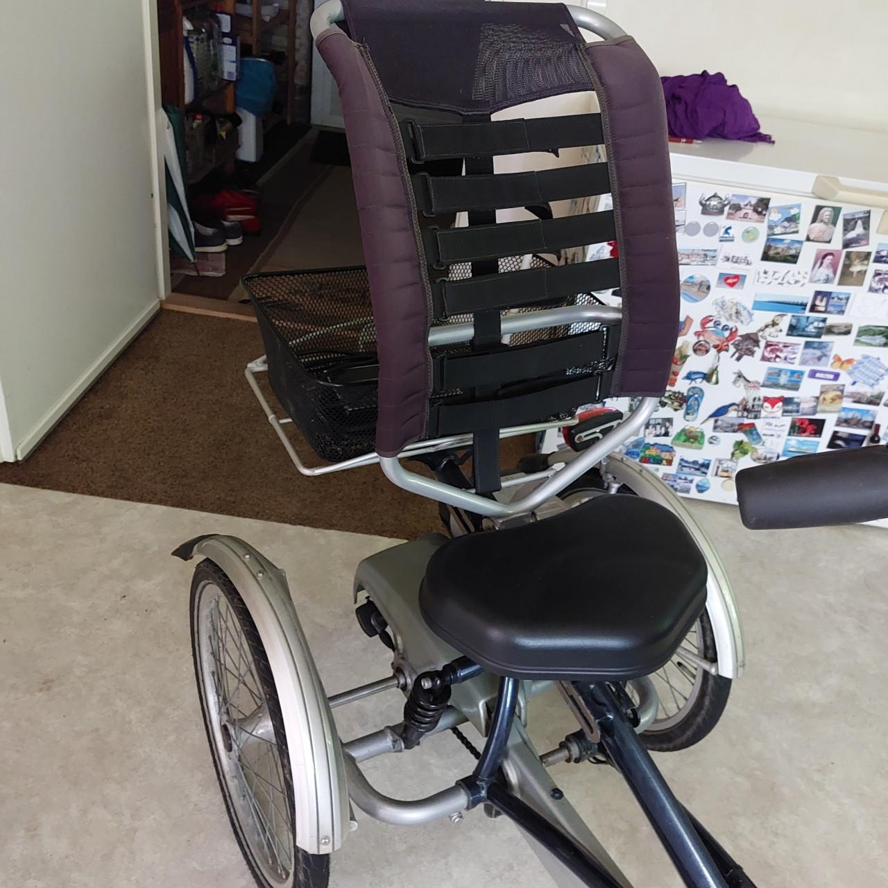 Elektrische Van Raam Easy Rider 2 (opnieuw) aangeboden