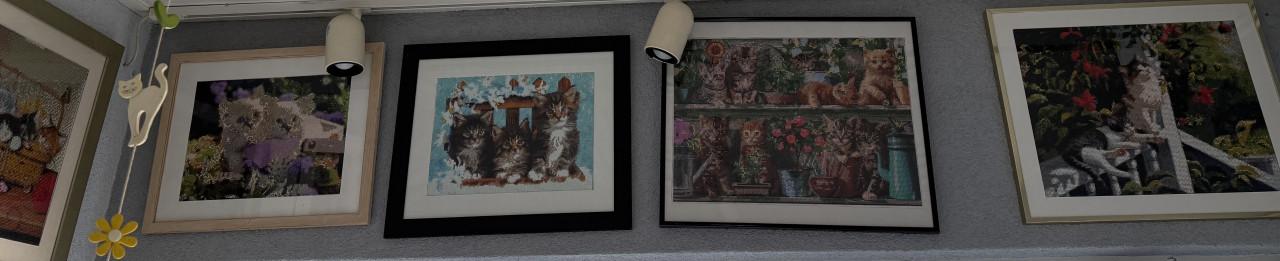 Borduur werkjes / daimantpainting ingelijst