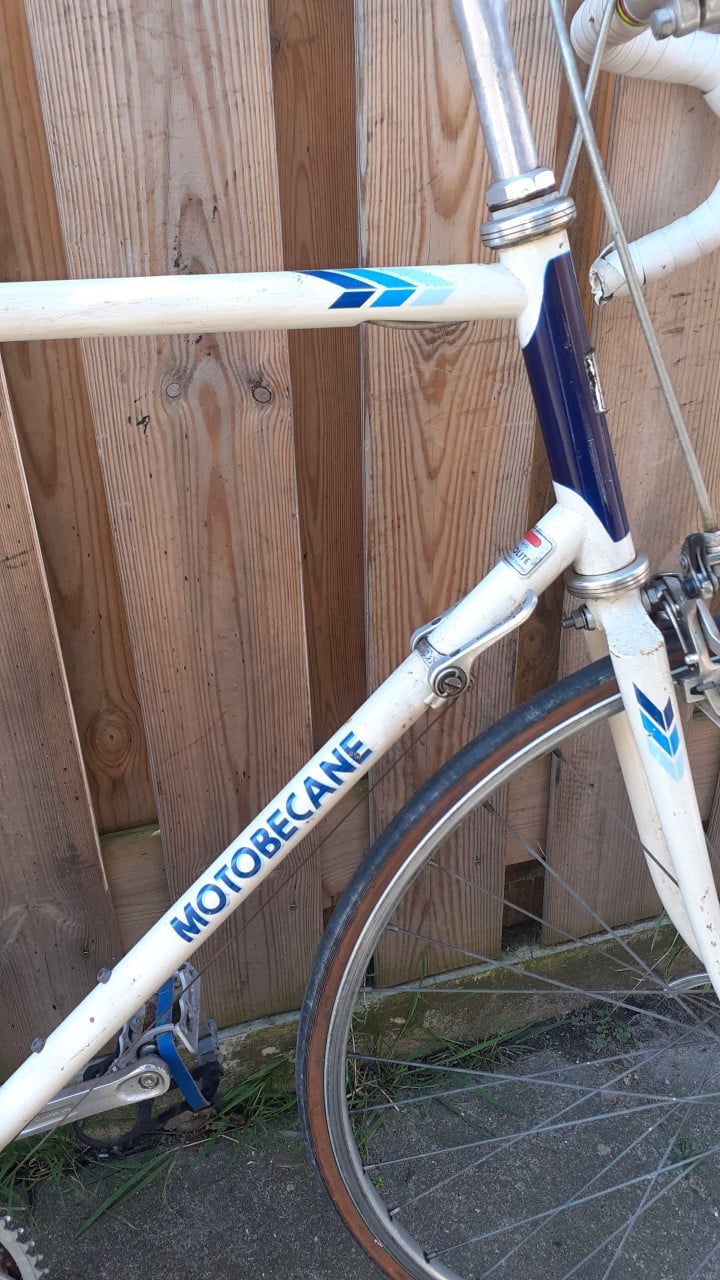 4 x Racefiets GIANT & GAZELLE -XXL &. Motobecane ....& EDDIE-MERKX