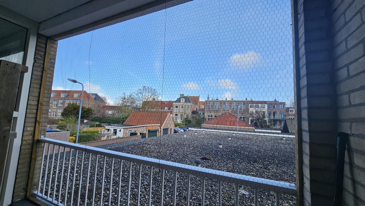 Gratis kippengaas ±3 meter