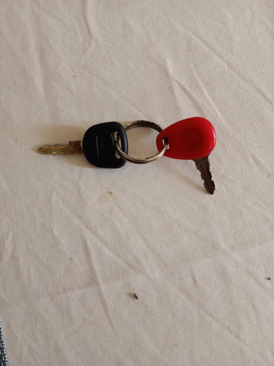 Te koop koffertje voor op een scooter