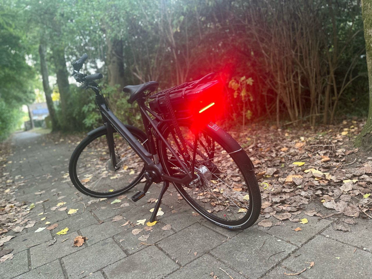 Batavus Fonk E-bike