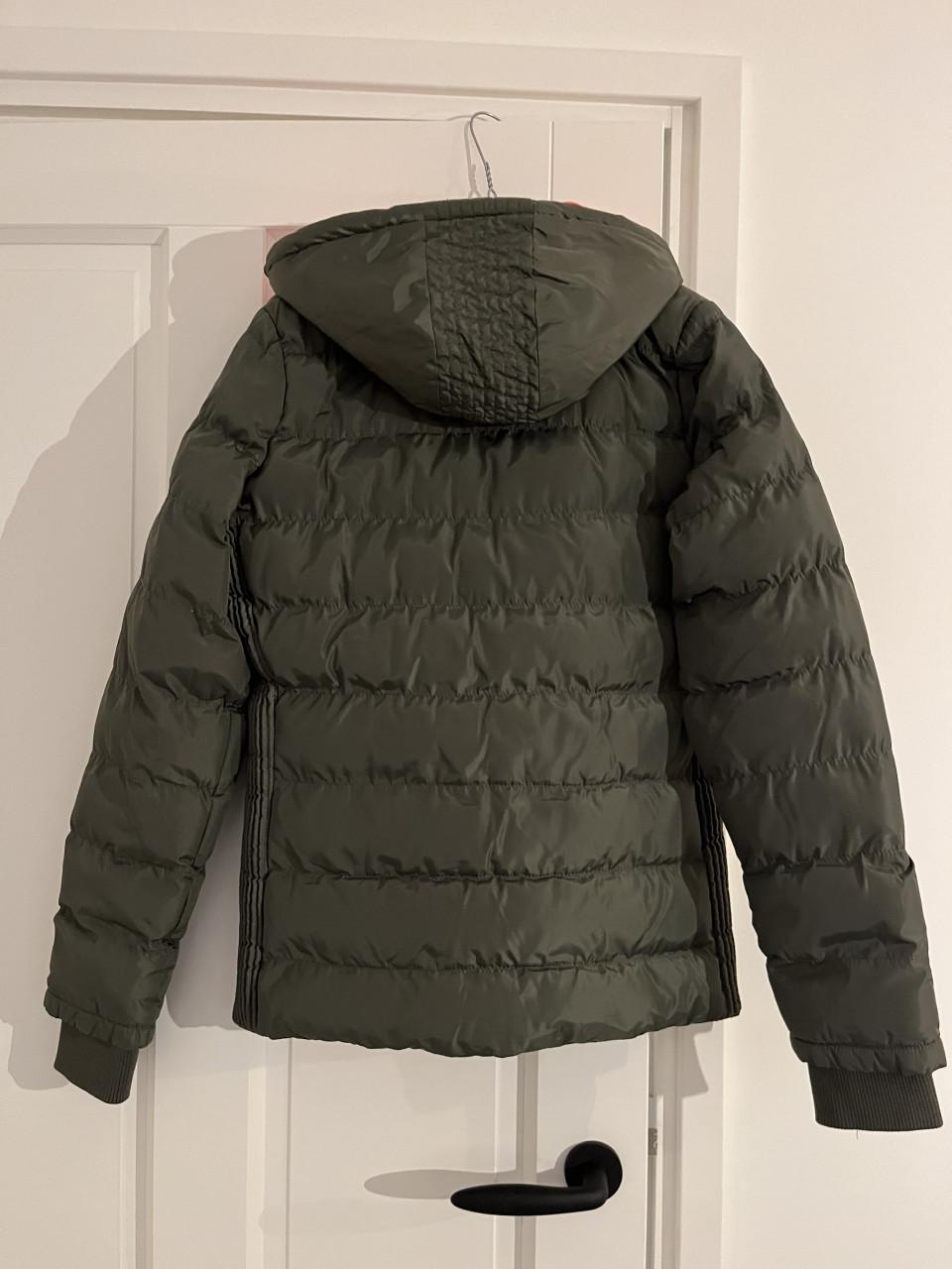 Cars winterjas mt 170