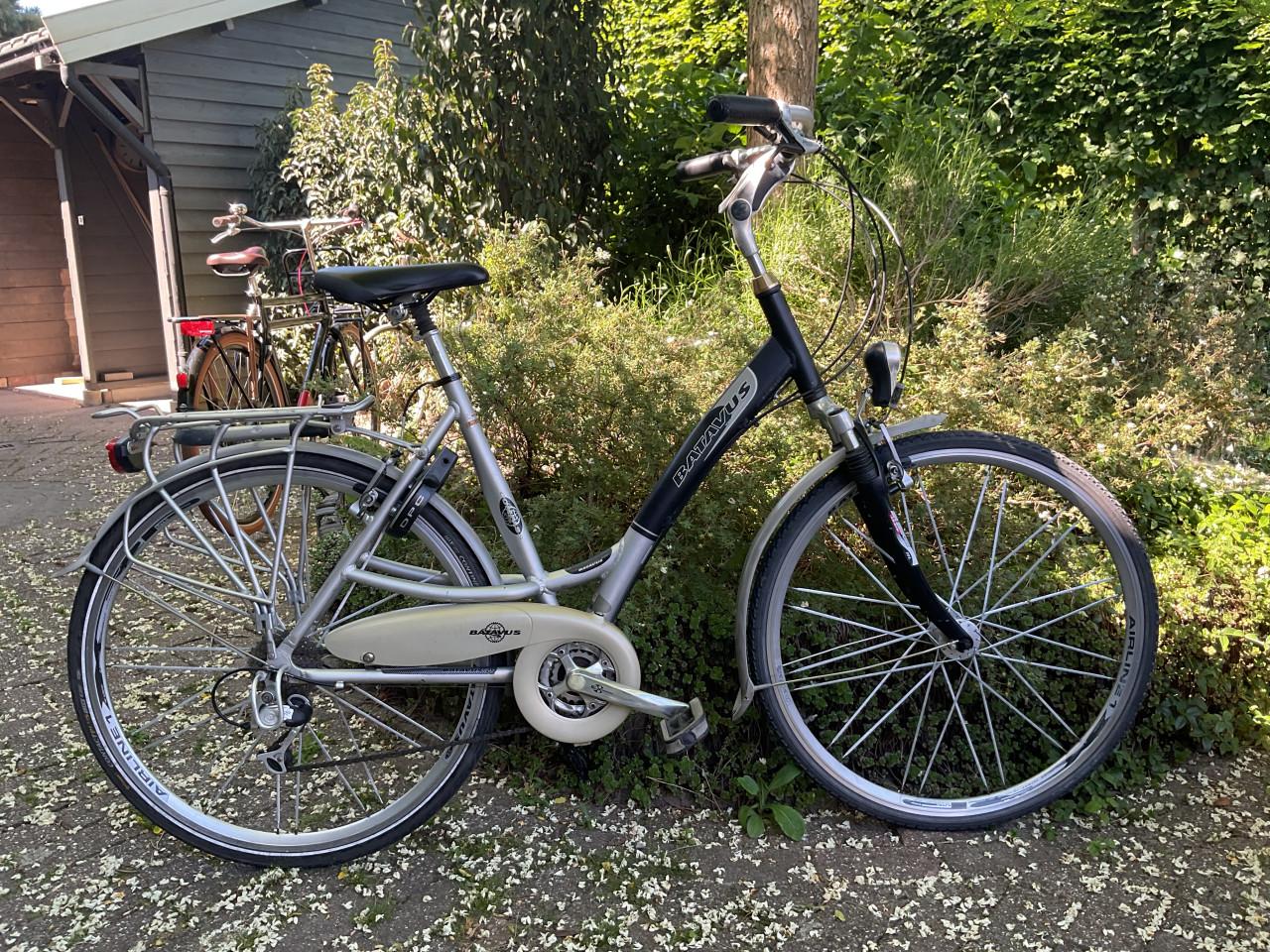 Batavus