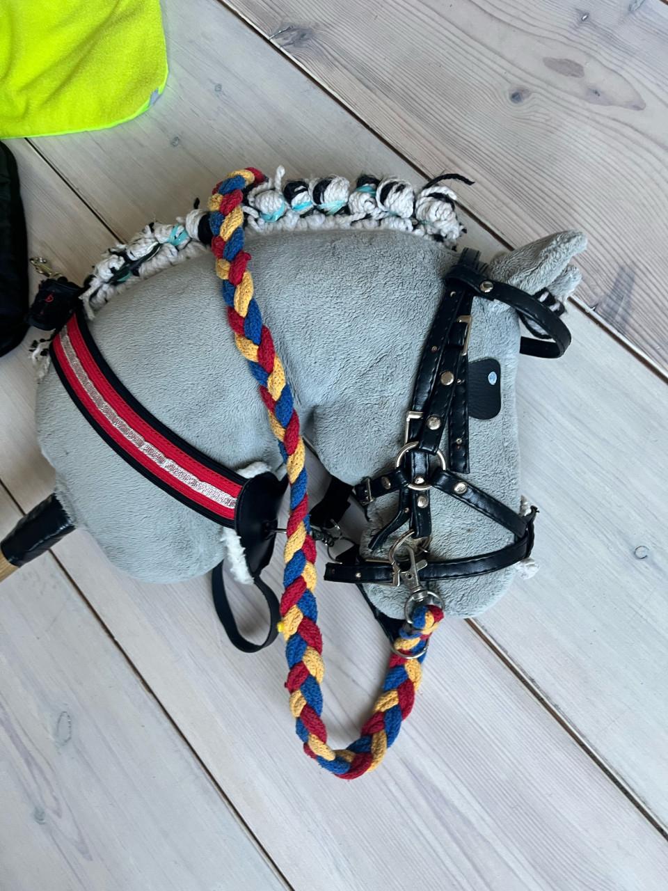 Stokpaard met accessoires in goede staat