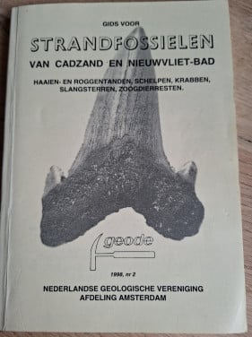 Gids voor strandfossielen van Cadzand en Nieuwvliet-Bad, door Ton Lindemann