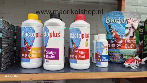 Bactoplus