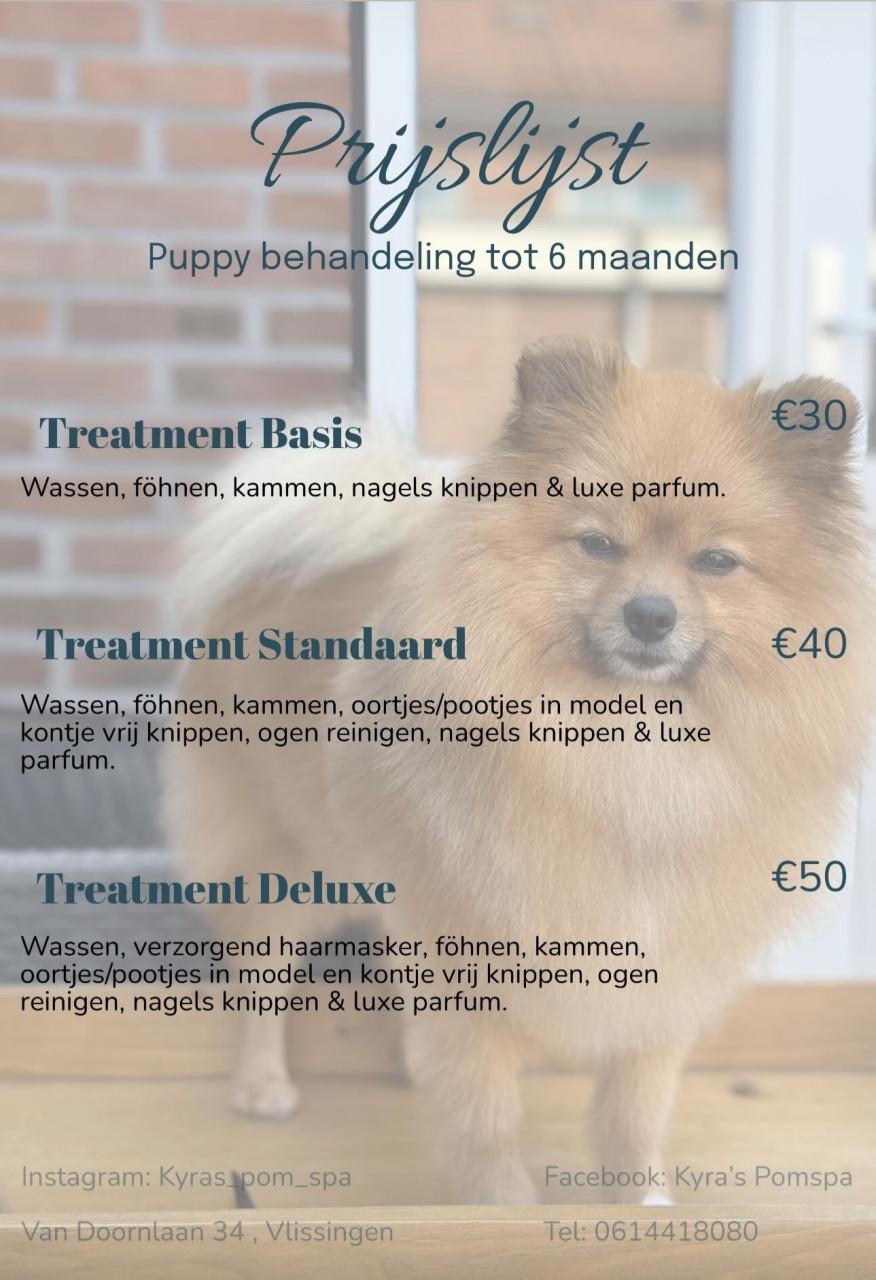 Plaats voor nieuwe klanten in de trimsalon