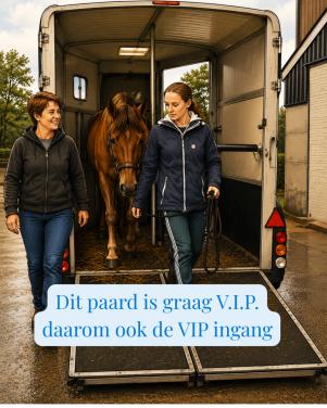 Een VIP paard, krijgt een VIP vervoersmiddel