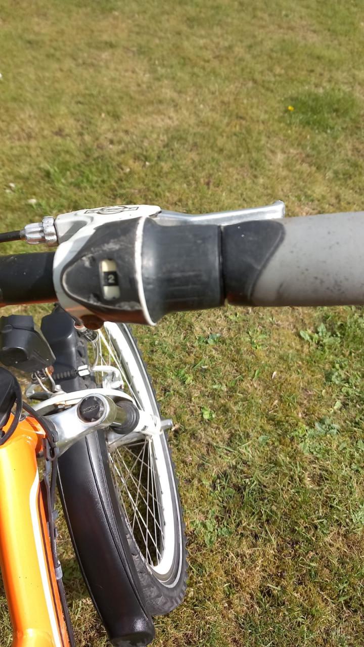 Batavus Snake 22 inch