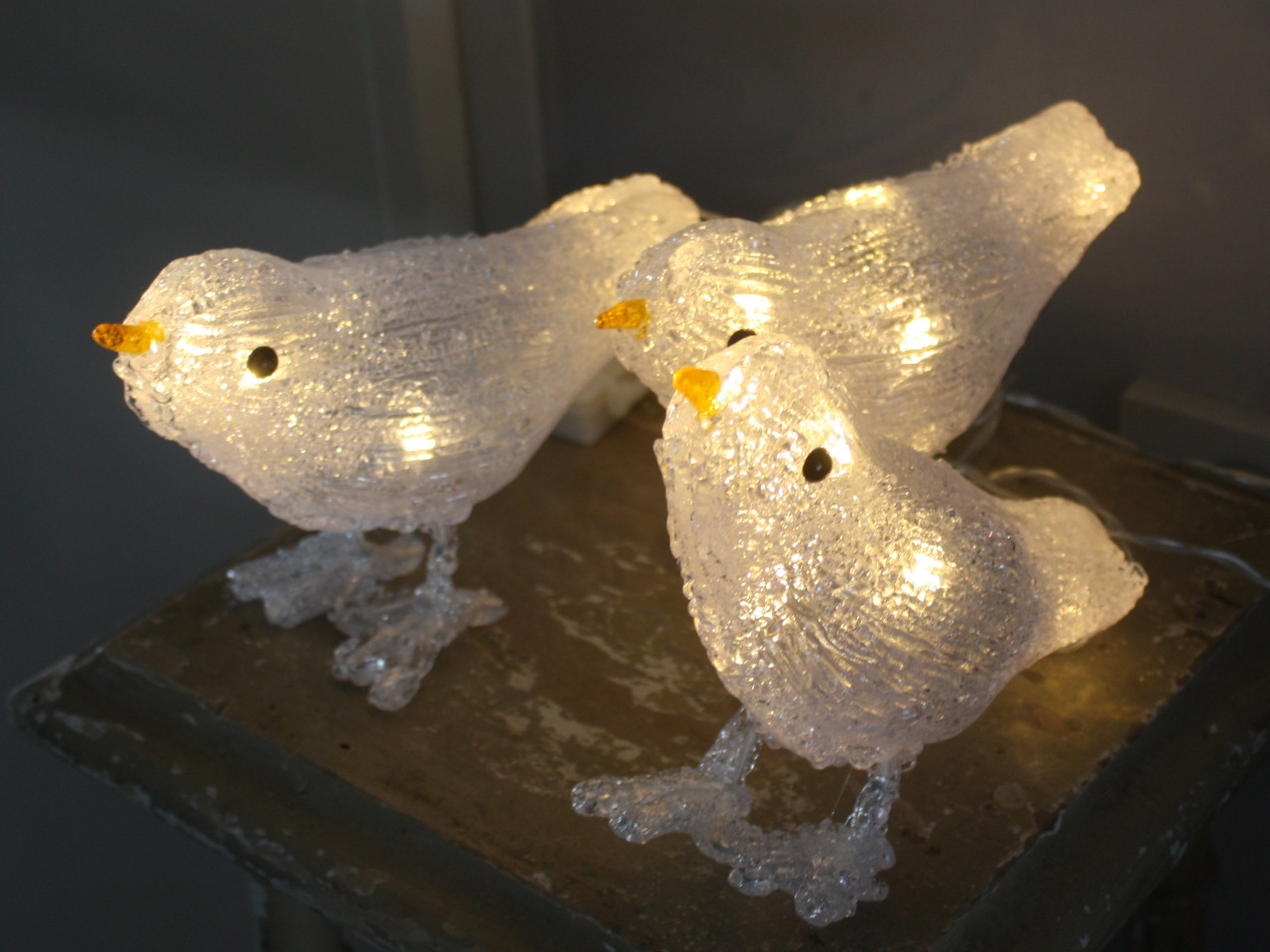Lichtsnoer met vogeltjes