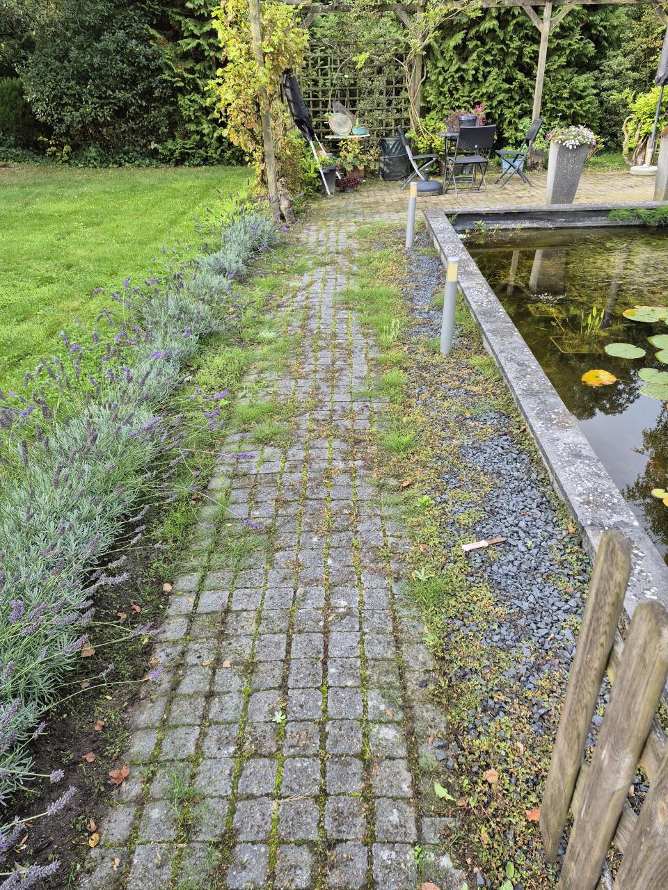 Betaalbare en Betrouwbare Tuinman gezocht? Beschikbaar!!