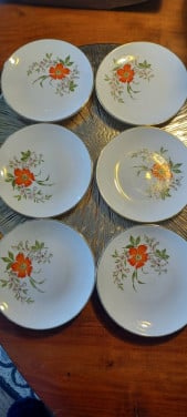 Vintage set vsn 6 gebaks- bordjes 15,--€