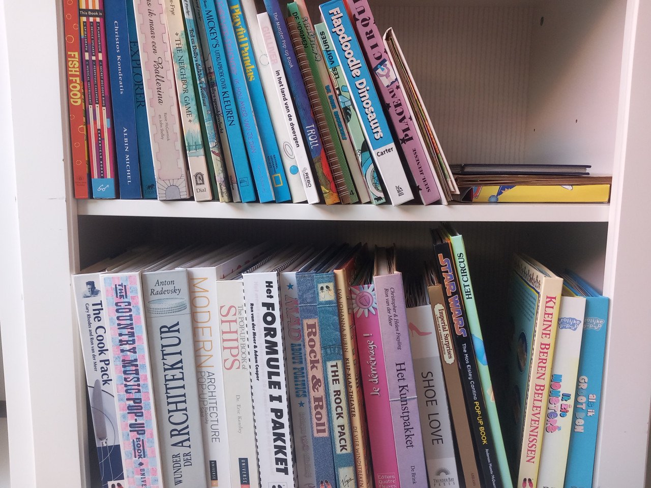 Pop-up boeken