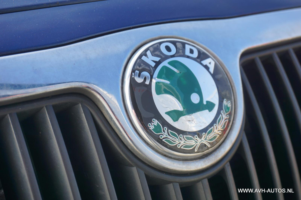 Skoda Fabia combi 1.9 tdi spirit+