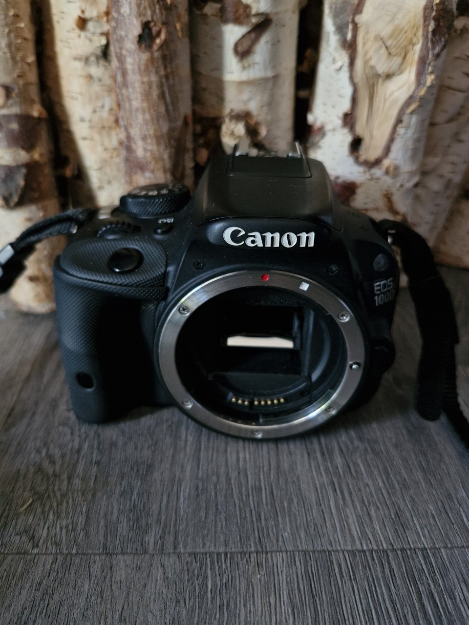 Canon 100d