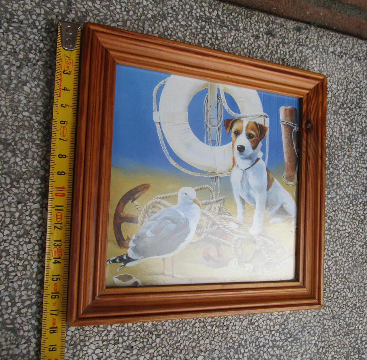 Prentje met hond en zeemeeuw