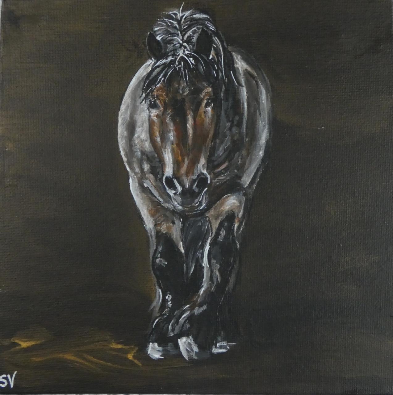 Portret van je favoriete huisdier - KENNISMAKINGSTARIEF FEBRUARI!!