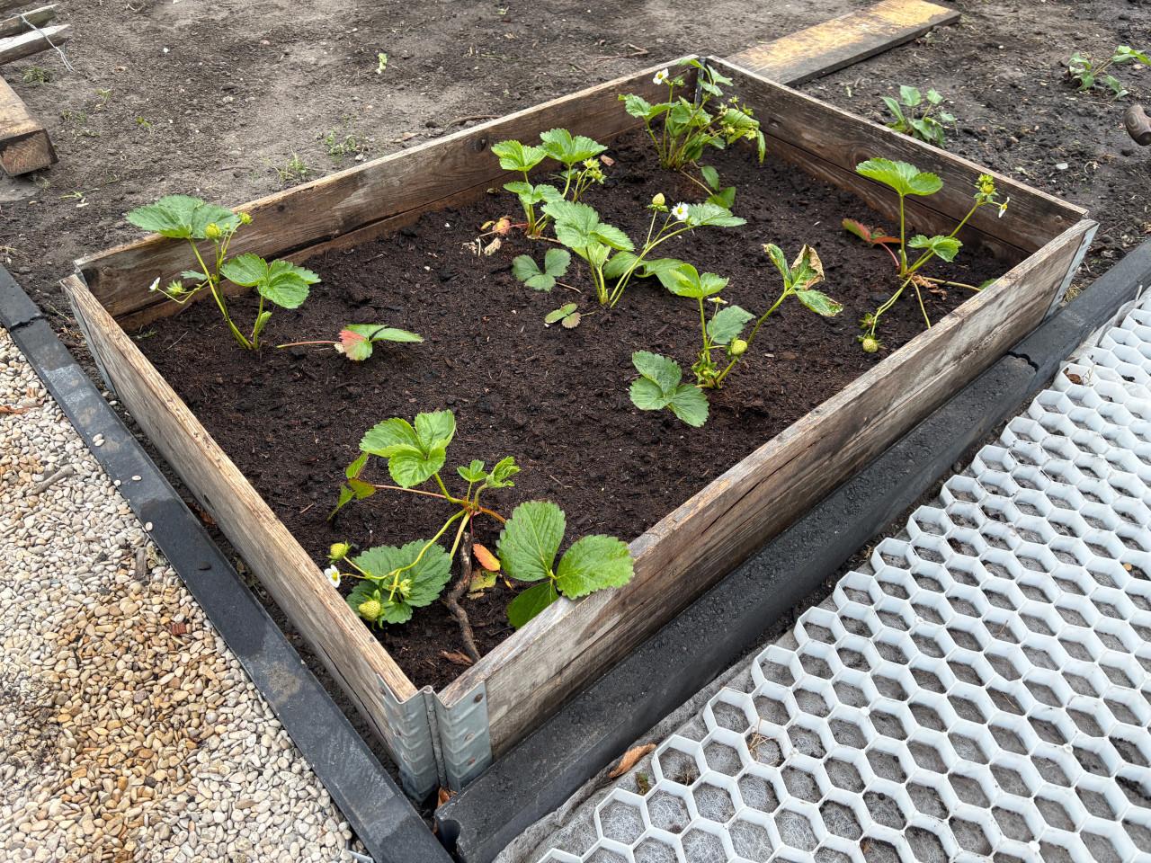 7 stuks moestuin bakken