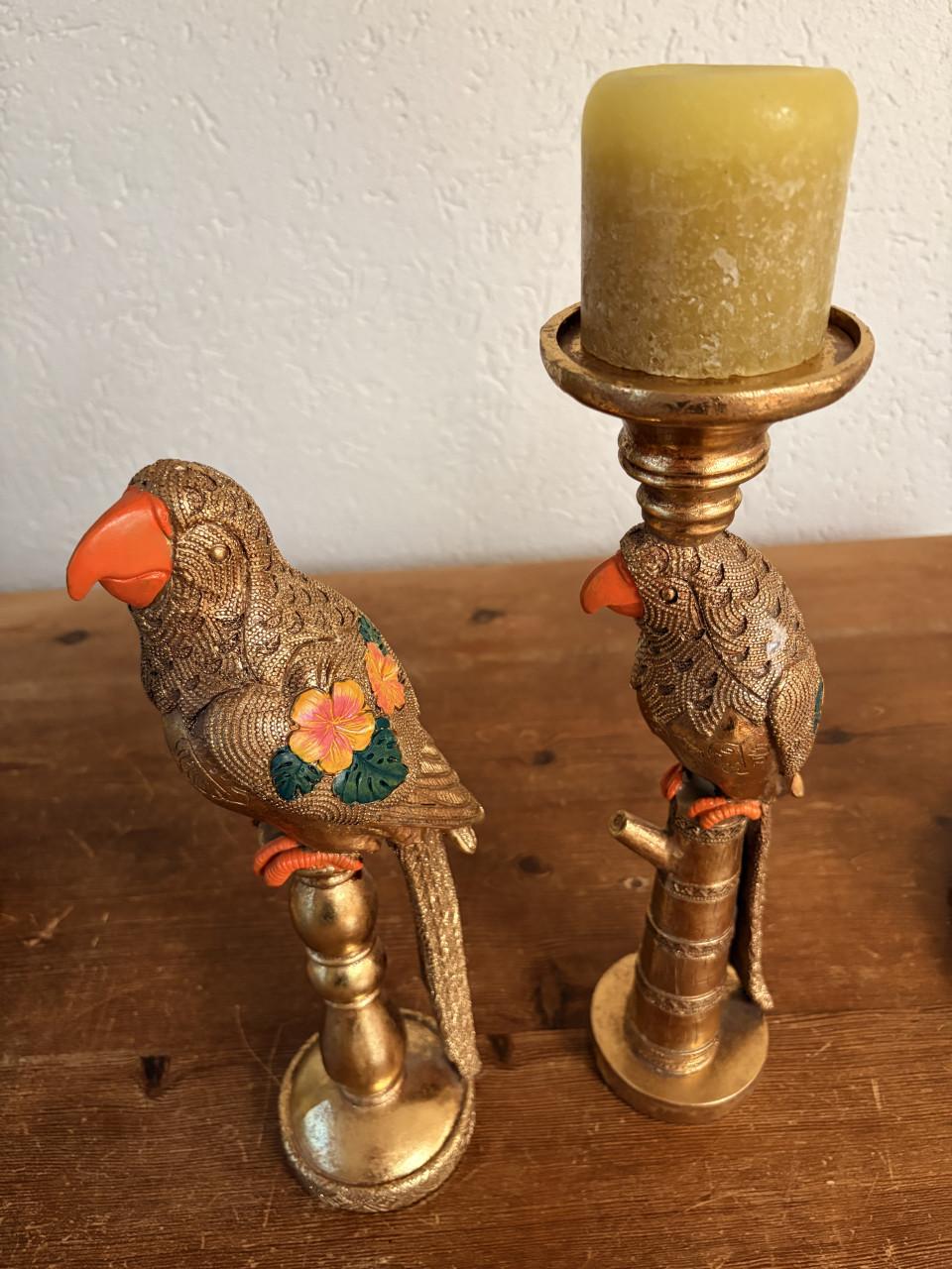Twee kleurrijke papegaaien