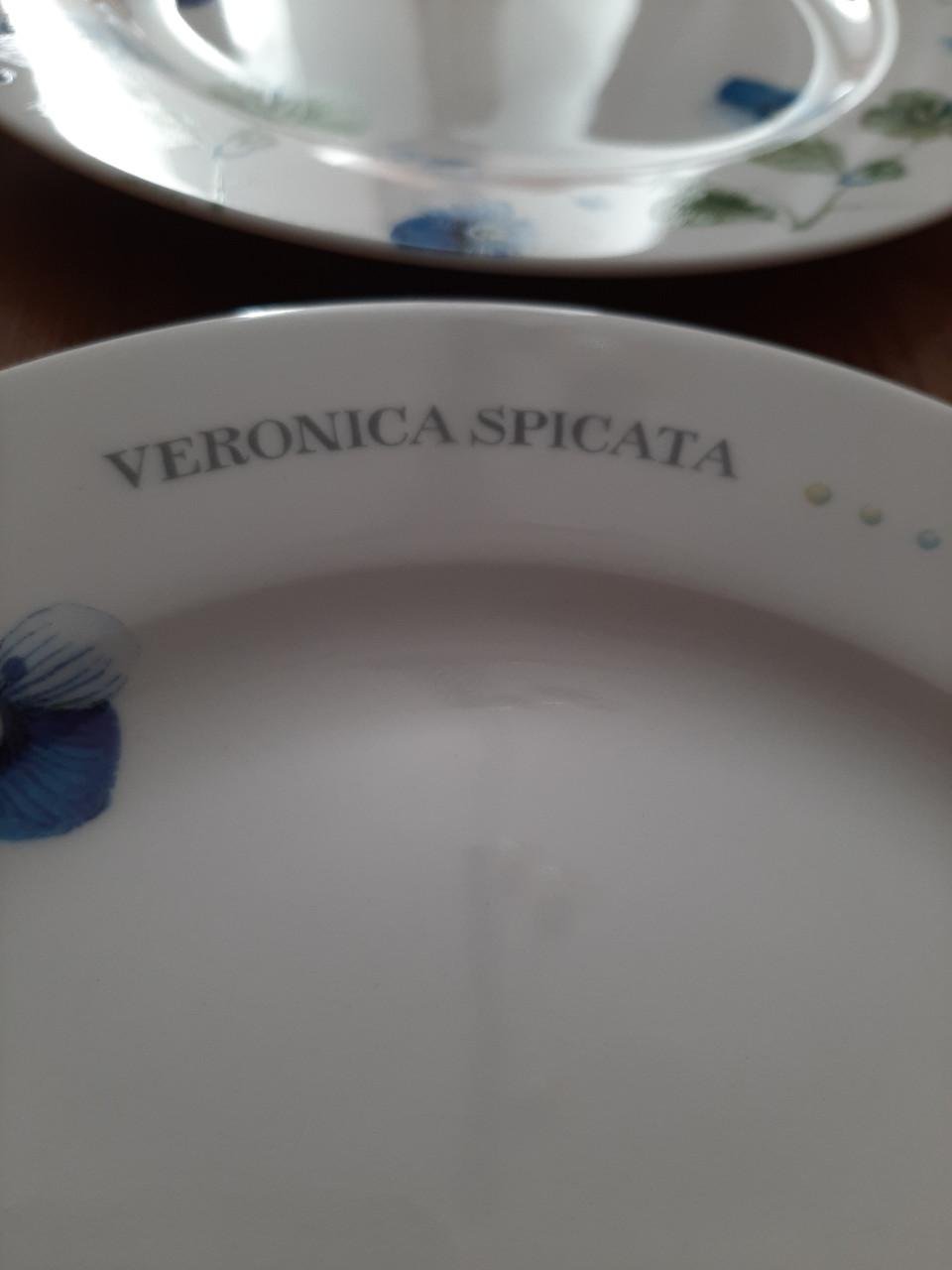 MARJOLEIN BASTIN , WILDFLOWERS - 9 GEBAKBORDJES - PORSELEIN