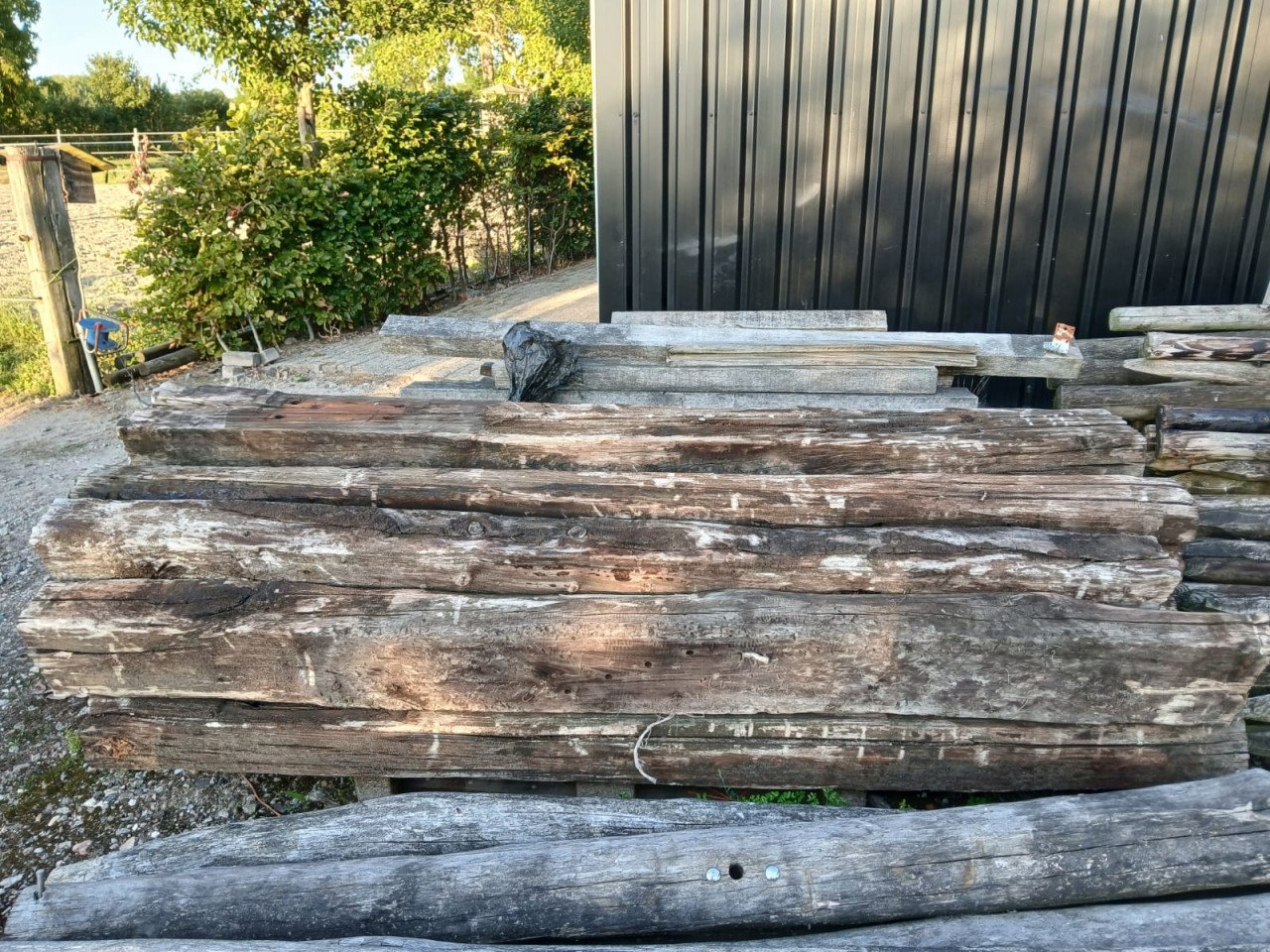 Bielzen gratis