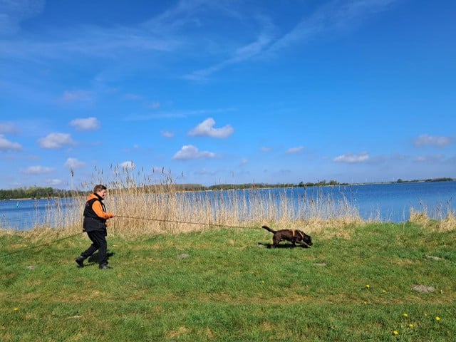 Jubileumlezing NEUSWERK van de hond