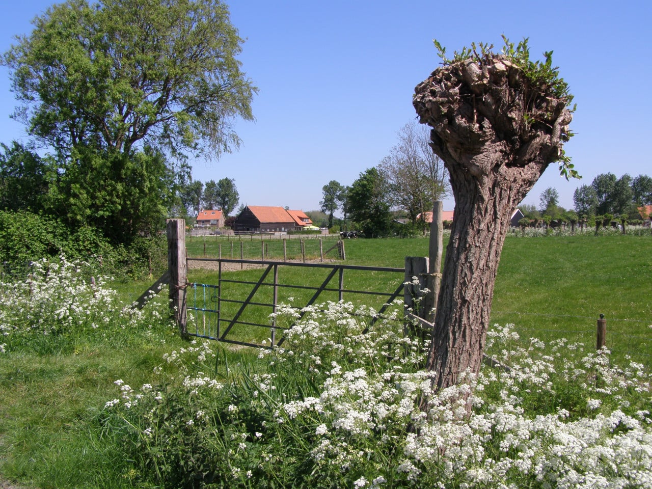 Ik zoek een wandelmaatje