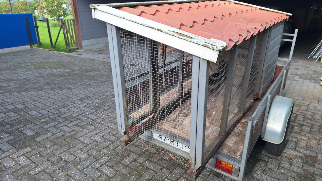 Kippen hok en ren  ( gereserveerd voor p45 )
