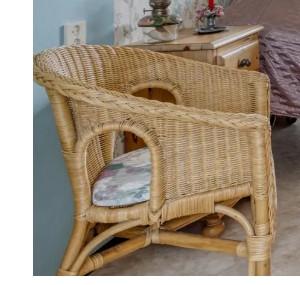 Rieten stoel rotan stoelen 2 stuks met kussentjes extra zitplaats