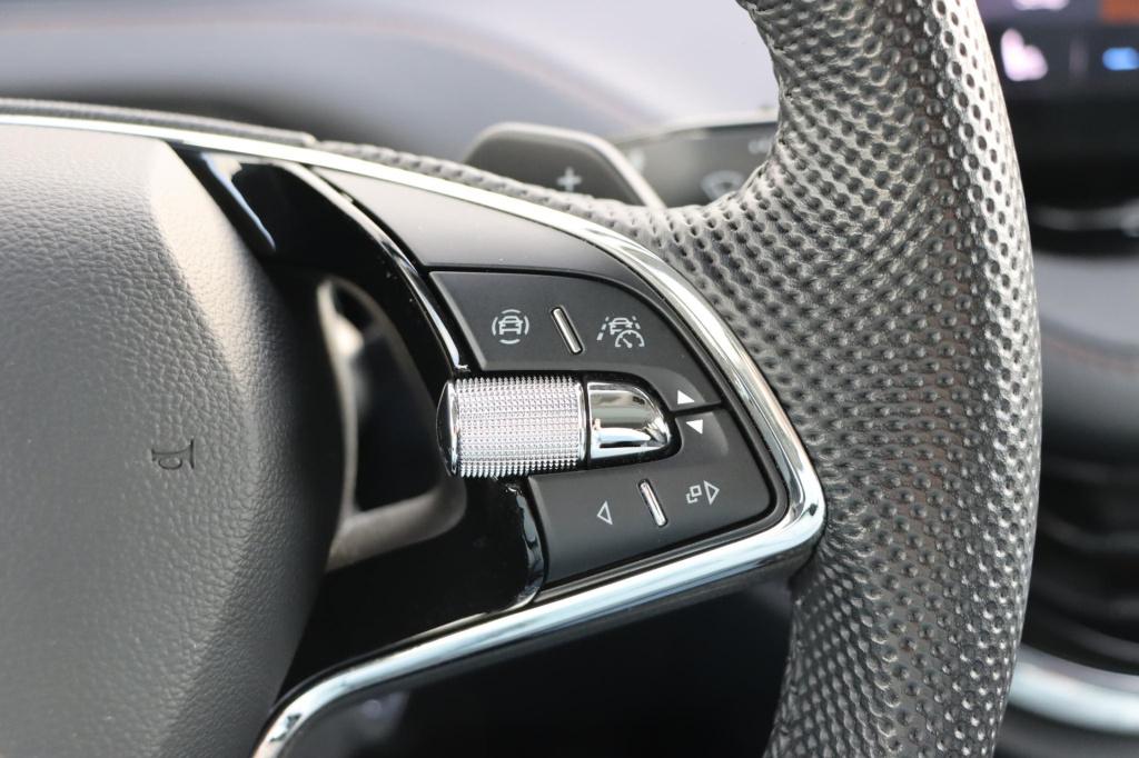 Skoda Enyaq Iv 80 limited edition plus 204pk