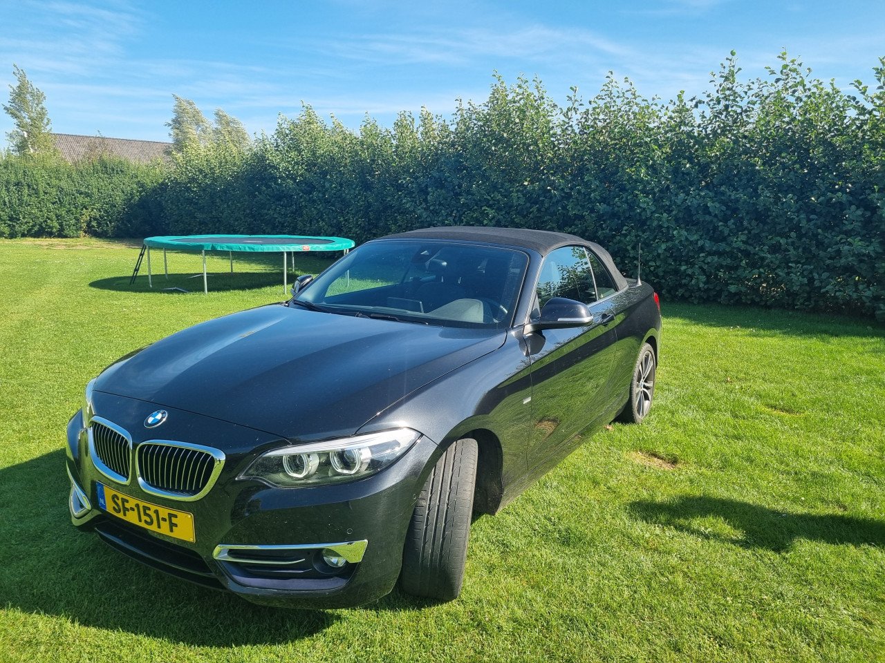 BMW 2 - serie 220i Cabriolet Zwart