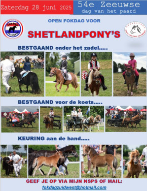 Shetland pony FOKDAG
