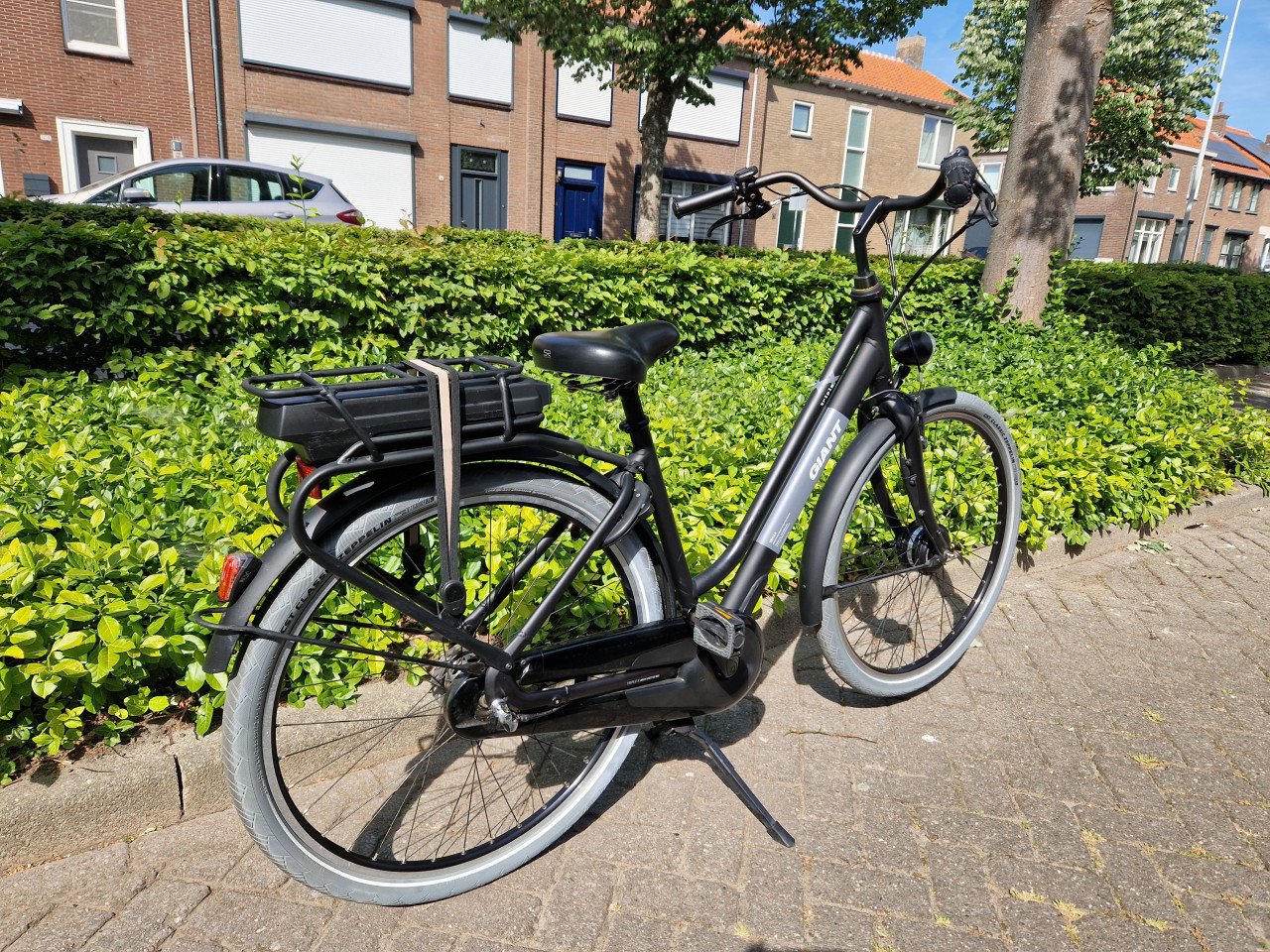 Keurig nette Giant Triple X elektrische fiets