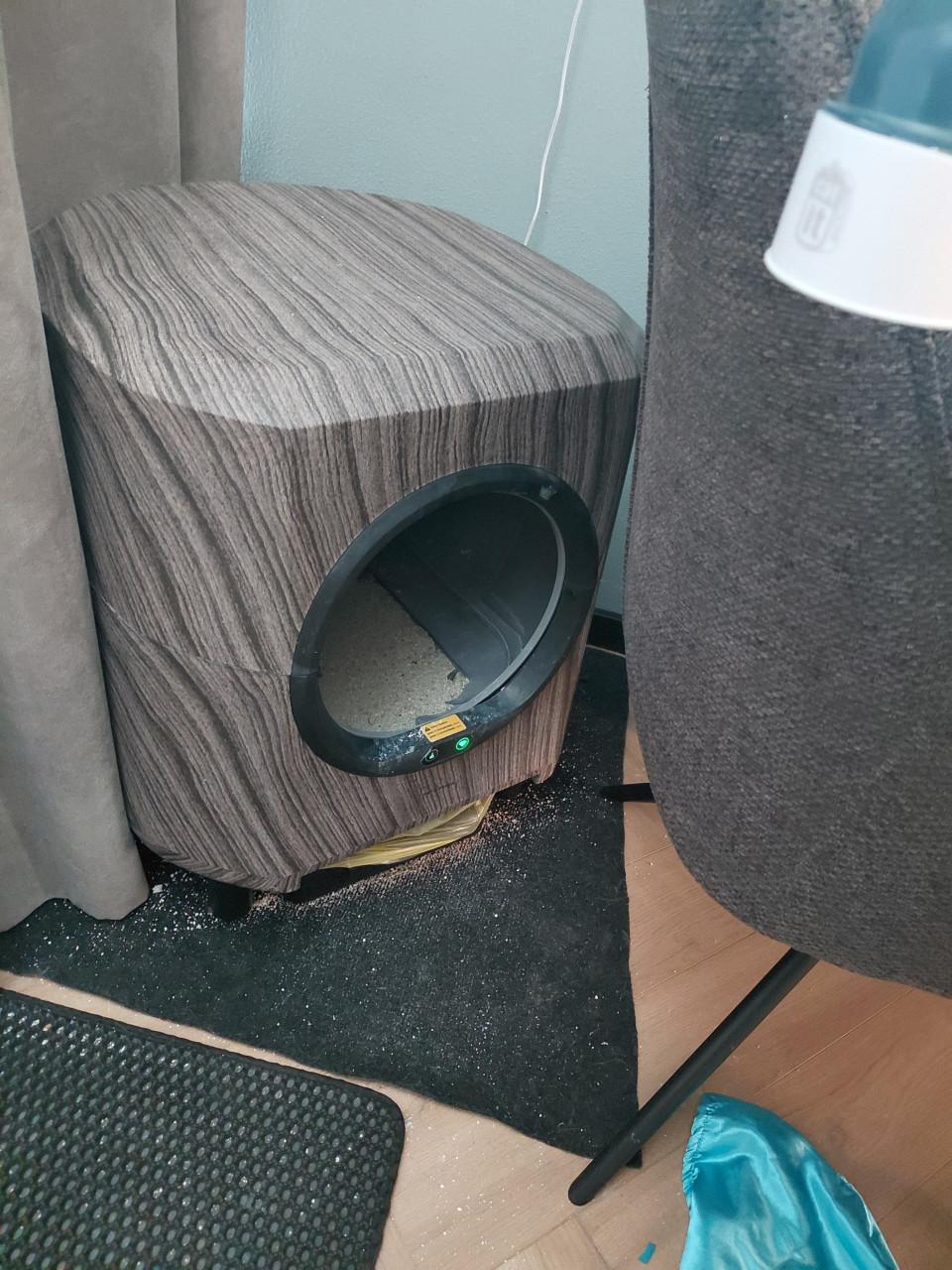 2 katten zijn zusjes met elektronische kattenbak en toebehoren kan ook apar