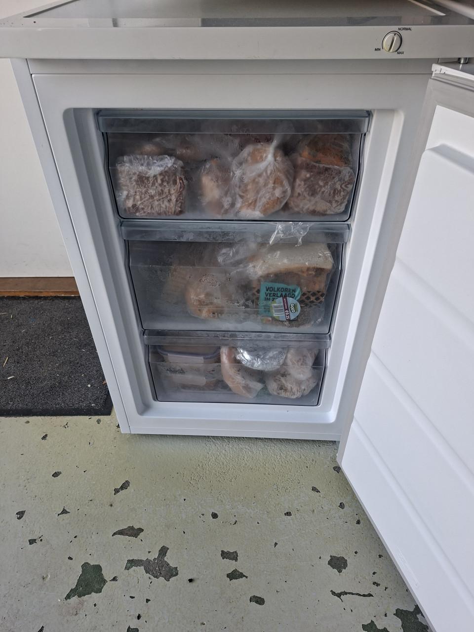 Vriezer tafelmodel merk Frilec