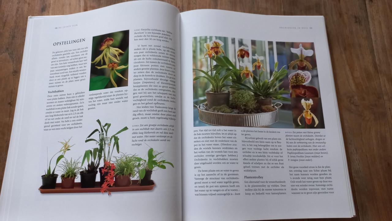 Orchideeën boek