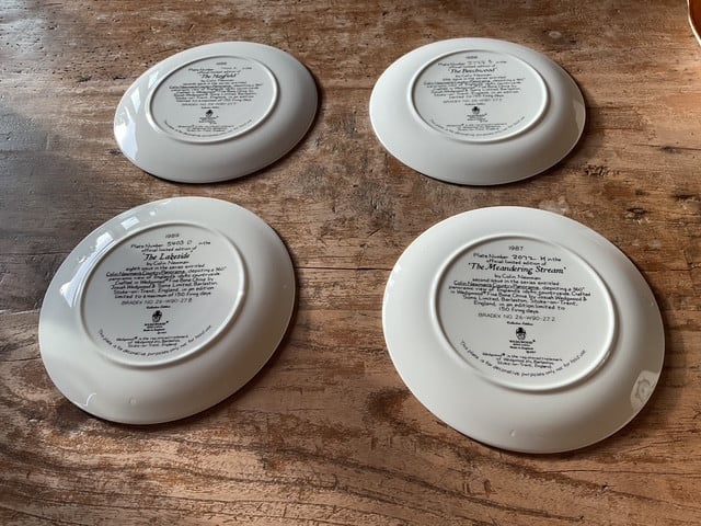 Decoratieve Wedgwood borden