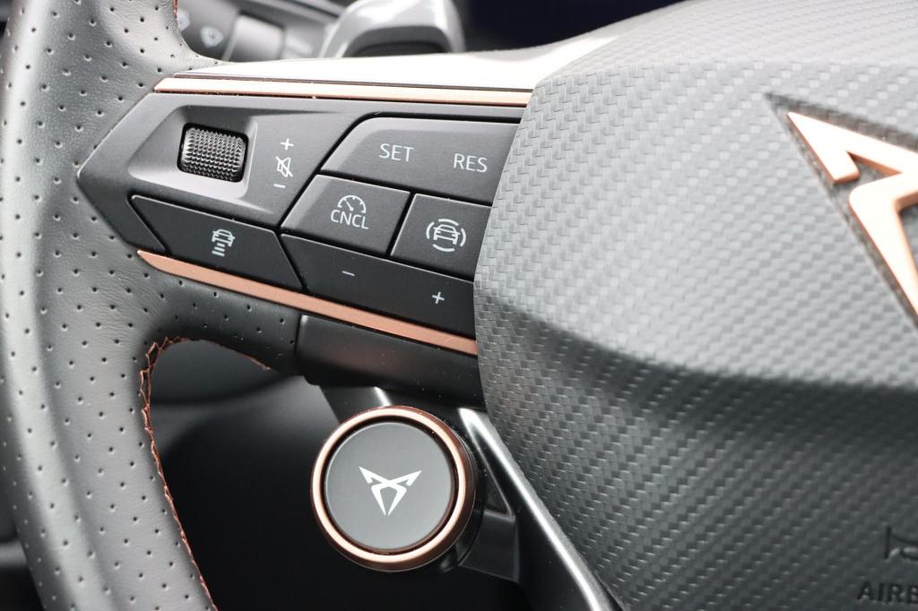 Cupra Terramar 1.5 tsi e-hybrid business 204pk dsg6 | soh 100% |