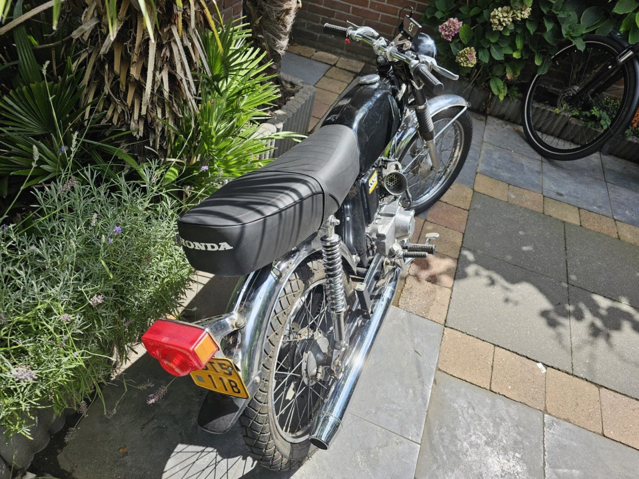 Honda  ss50
