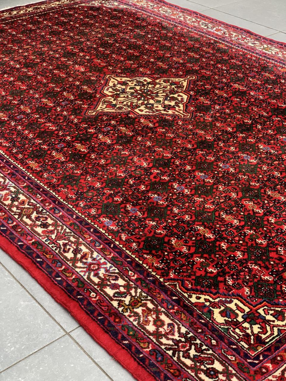 ✨Schitterend Perzisch Vloerkleed uit Iran in Nieuwstaat✨