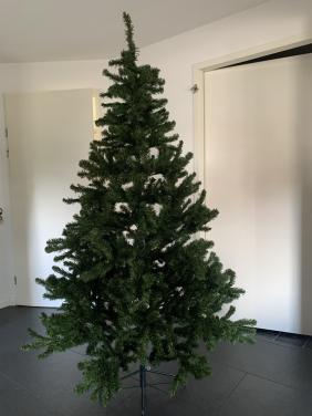Kerstboom 2.15 m hoog