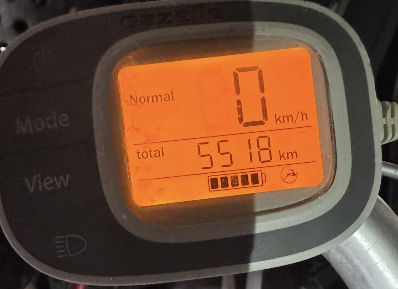 Gazelle elektriscche fiets