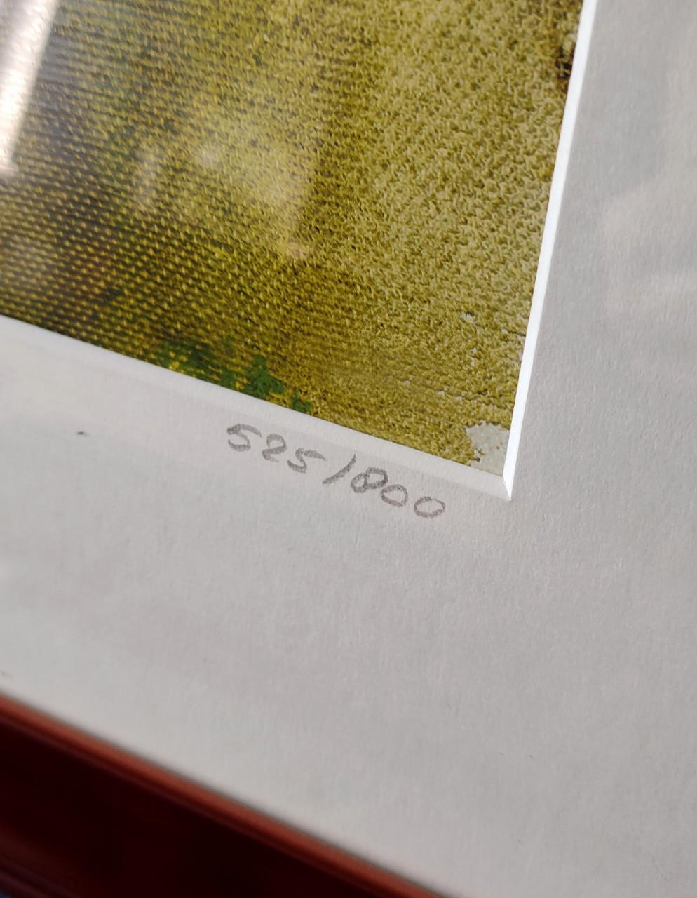 2 werken van Corine Annelies van Dolder.