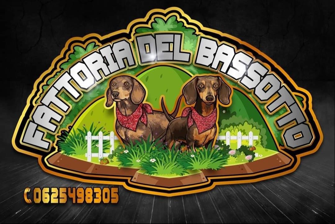 Medewerker voor onze kennel