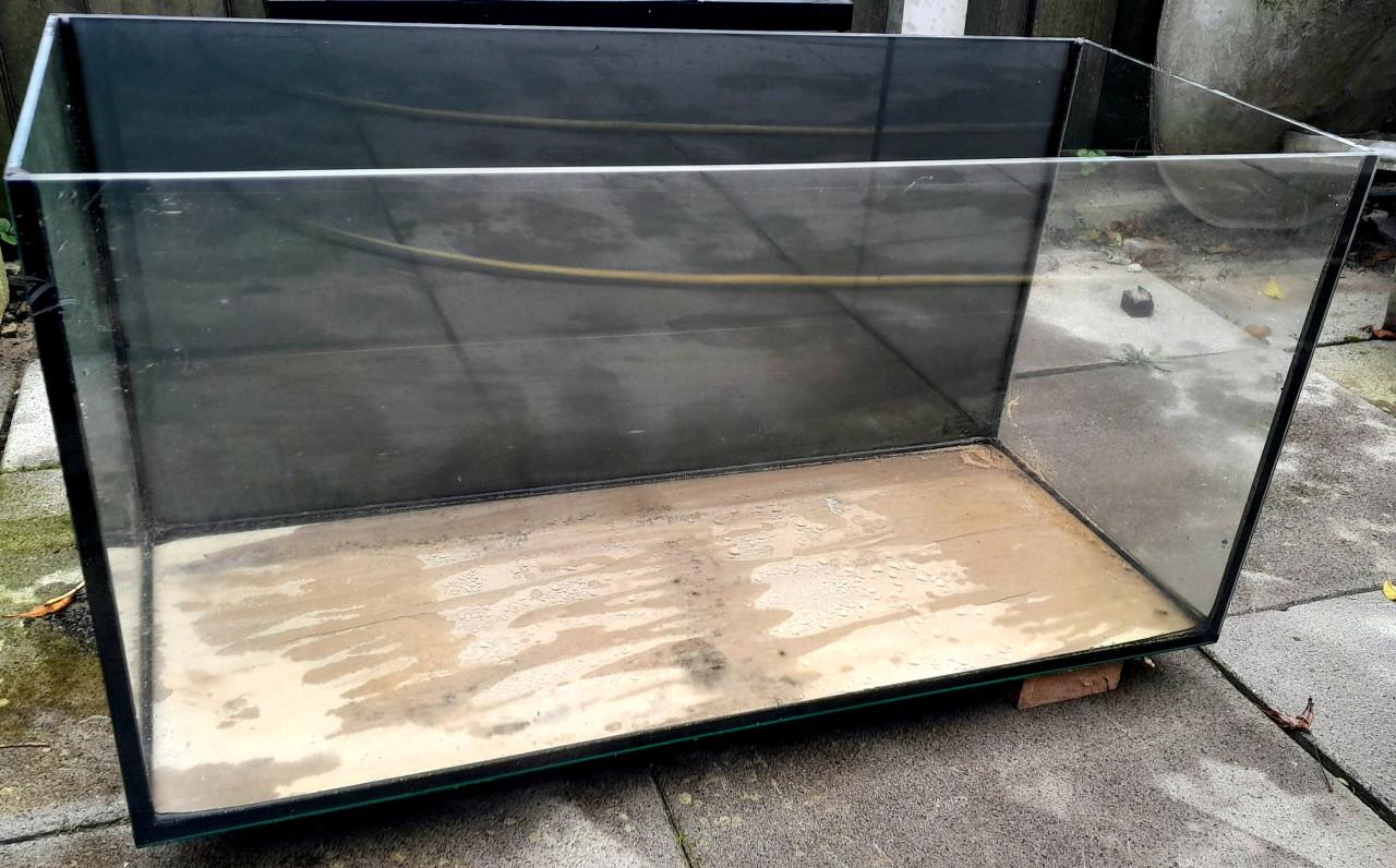 Rivierkreeften en buiten aquariums