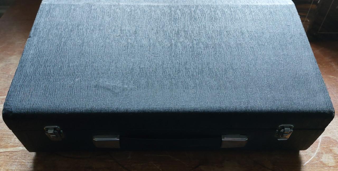 Wem Watkins Echo Unit Custom Copycat