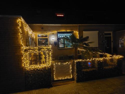 Kerstverlichting led buiten