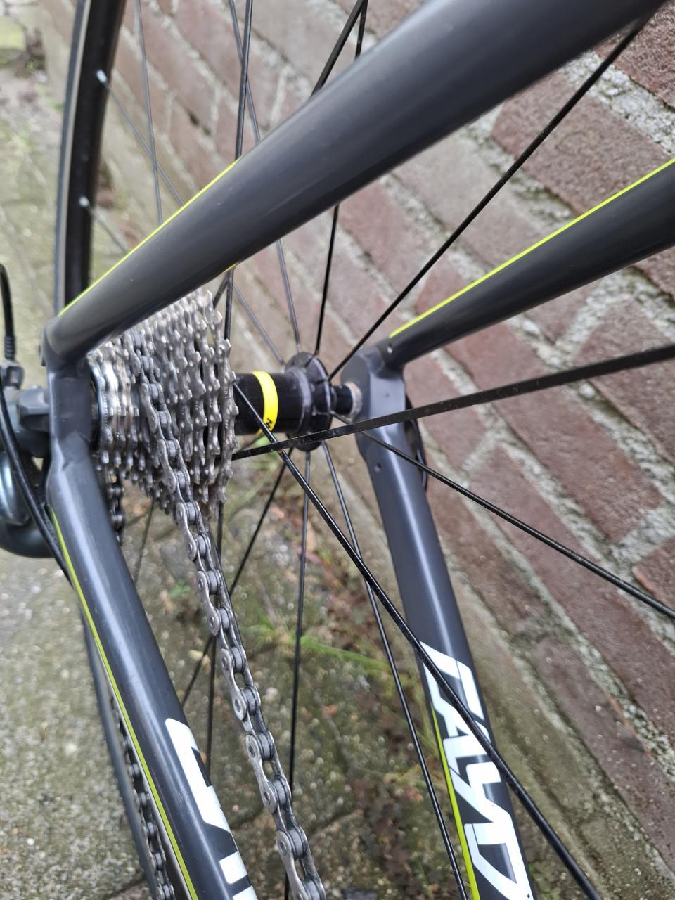 Focus Cayo AL Racefiets (L) - Shimano Tiagra - Mavic Aksium